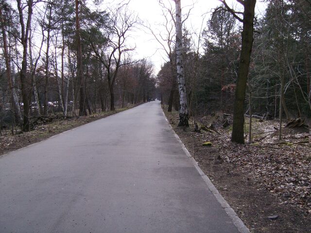 Datei:Imag0050.jpg