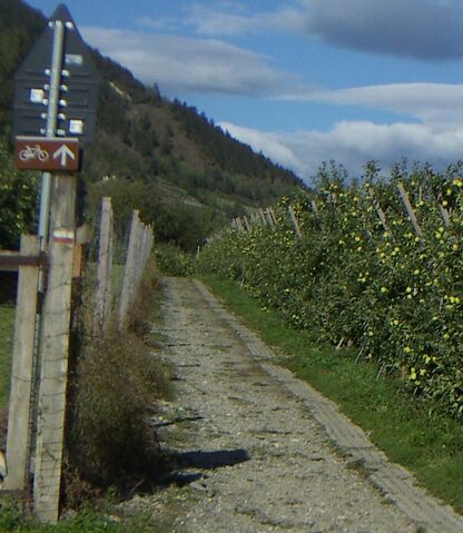Datei:Radweg im vinschgau.jpg