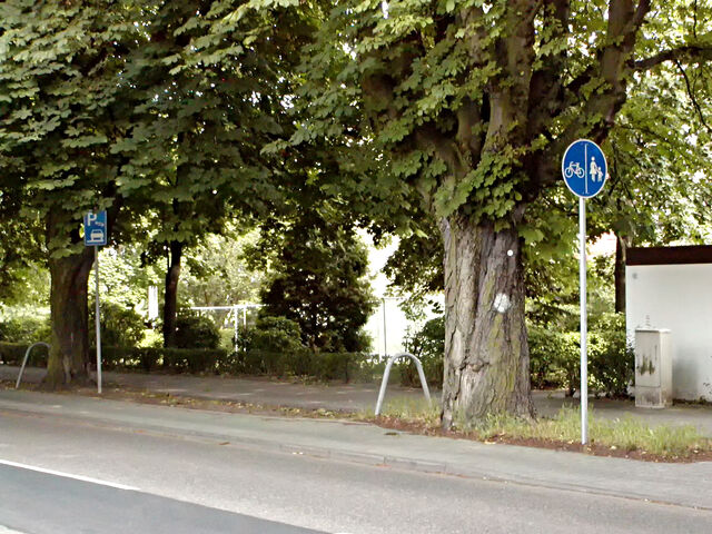 Datei:Radwege als Parkplaetze.jpg