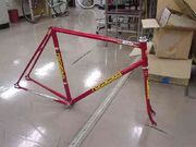 Nagasawa baby-3476.jpg