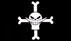 Whitebeard Pirates' Jolly Roger