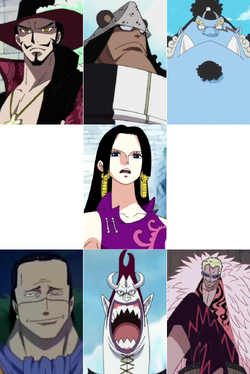 Shichibukai Infobox