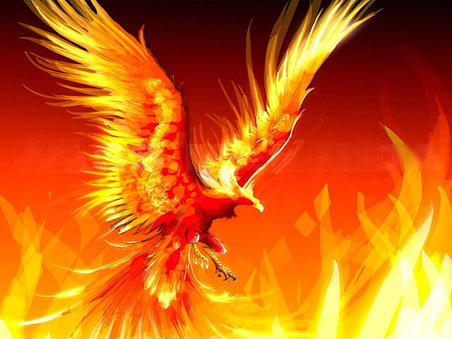 Archivo:Ave-fenix-463906.jpeg