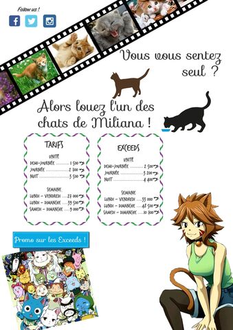 Fichier:Pub Miliana Chats.jpg