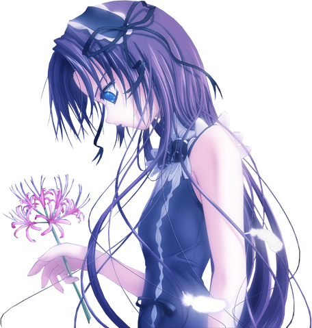 Fichier:Render r.png