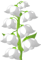 File:Fg gemini.png