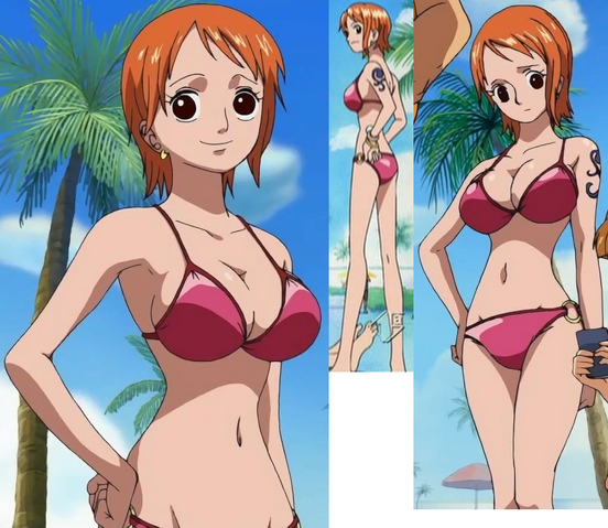 File:Nami Spa Island.png