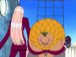 Cage Fruit