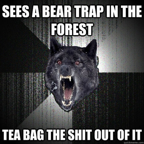 File:Wolf Bear Trap.jpg