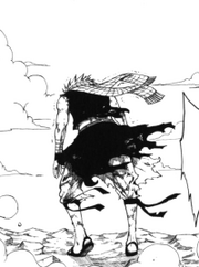La determinacion de Natsu
