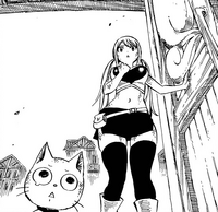 Lucy and Happy watch Natsu confront Gray
