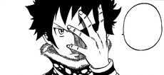 Mest le muestra sus memorias al Equipo Natsu.jpg