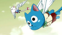 Happy and Carla - flying once again