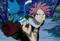 Natsu and Happy's Fairy Tail mark