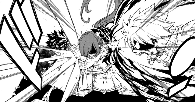 File:Erza stops the fight.png