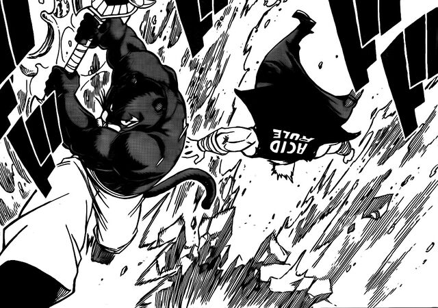 File:Pantherlily Defeating Neppa.jpg