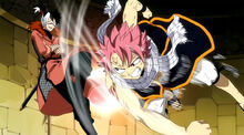 Natsu kontra Totomaru.jpg