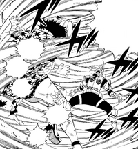 Neinhart attacks Brandish