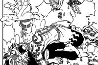 564px-Natsu's treatment
