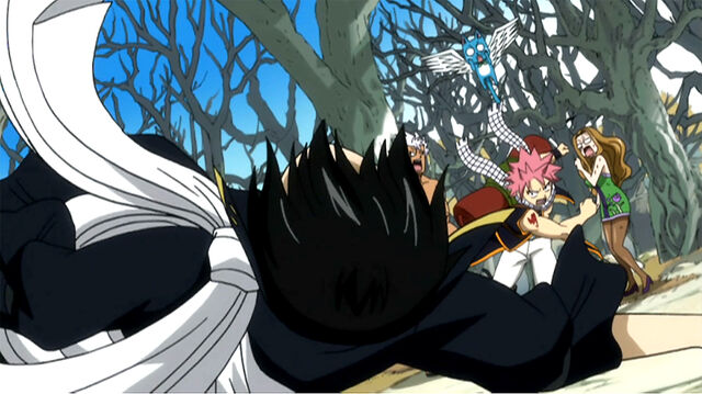 File:Natsu's puch.jpg