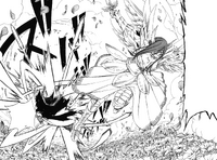 Erza beats Aria