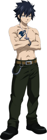 Fitxer:Gray Full.png