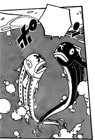 File:Back to Fish.jpg