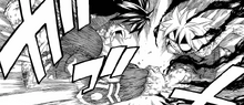 Gray vs. Natsu