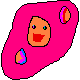 Redekem Sprite