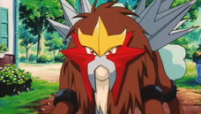 P03 Entei