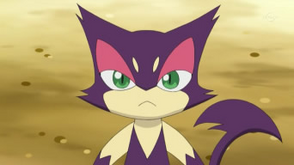 Purrloin Anime