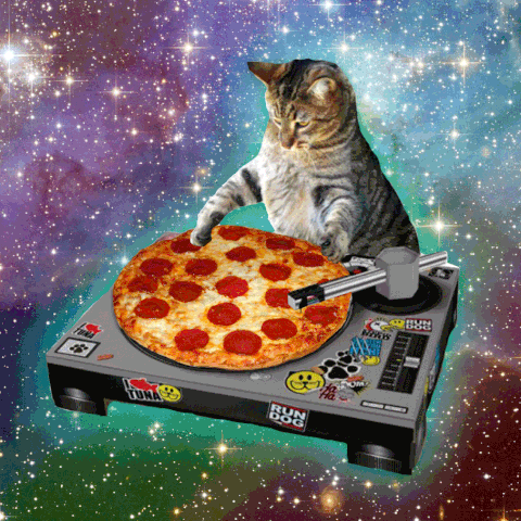 File:C8603-pizzadjcat.gif