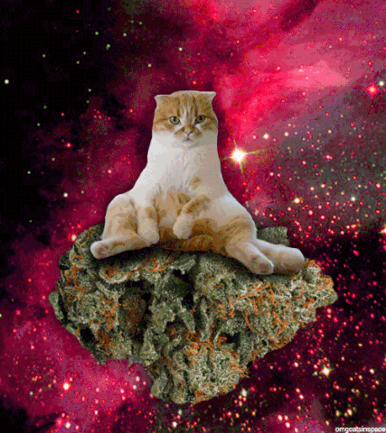 File:2.gif
