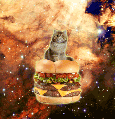 File:8.gif