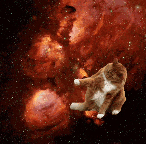 File:11.gif