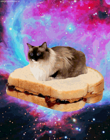 File:3c987b4a025aade603fdc3352947ee6e.gif