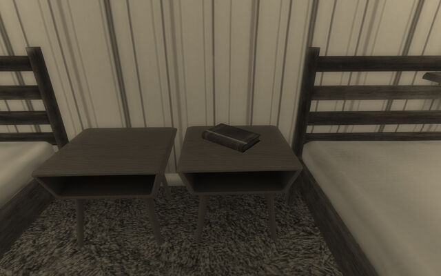 File:Janet Rockwell's diary.jpg