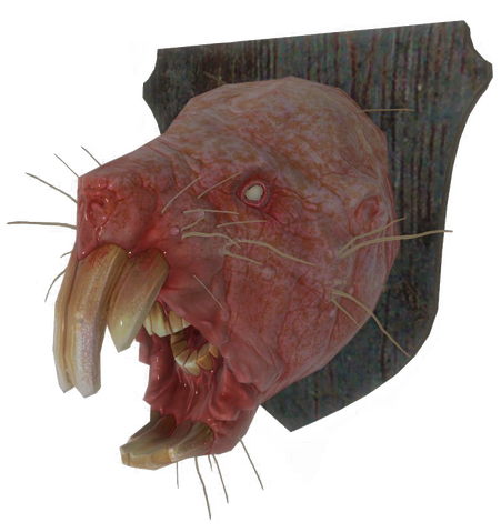 File:FO4-Mounted-mole-rat-head.png