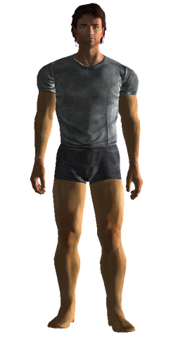 File:Fo3MZ Morrison Rand.png