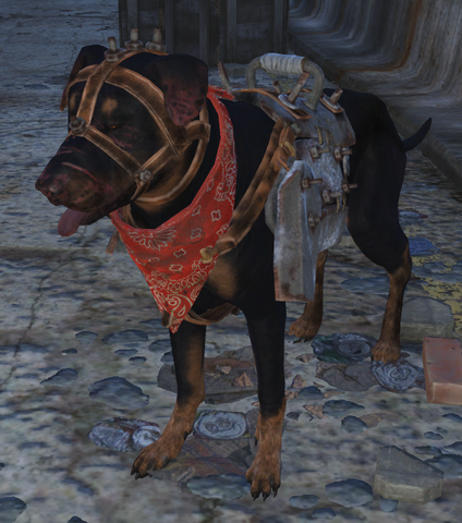 File:Kyle dog.png