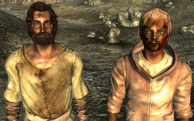 File:FO3WastelanderFragMine.jpg