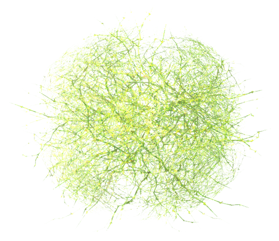 File:FONVRadioactiveTumbleweed.png