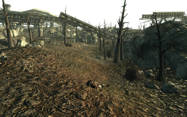 File:Checking Out (NPC).jpg