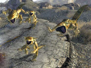 Gecko (Fallout: New Vegas) | Fallout Wiki | FANDOM powered by Wikia