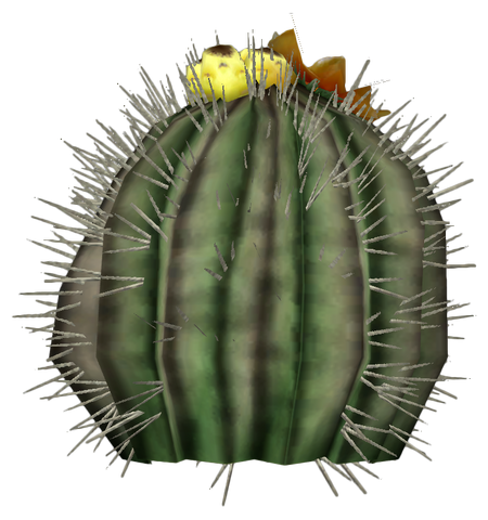 File:Barrel cactus plant.png