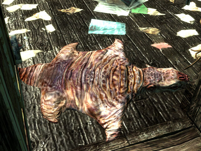 File:Mole rat rug.jpg