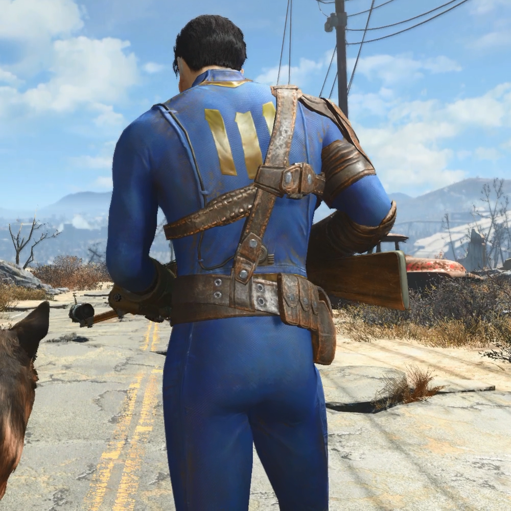 This is the 4 main character of all fallout games