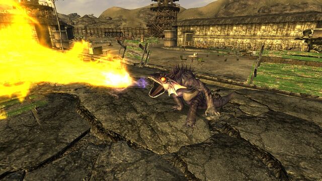 File:Fire gecko.jpg