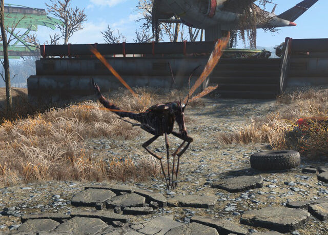 File:Stingwing skimmer.jpg