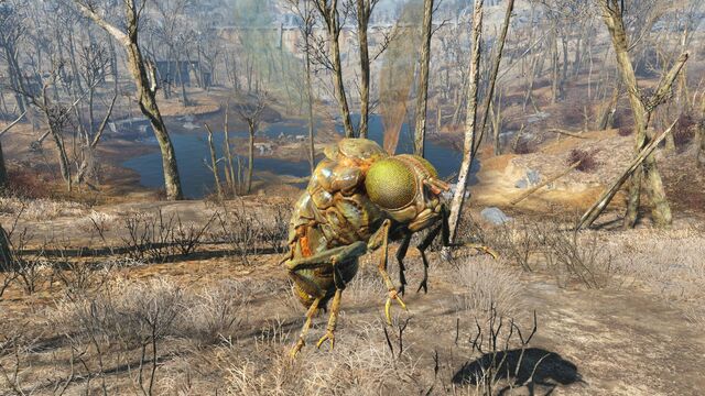 File:FO4 Festering bloatfly.jpg